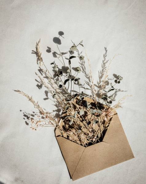 Offrir un moment de detente à domicile pour Noël 2023 à pessac proche de bordeaux